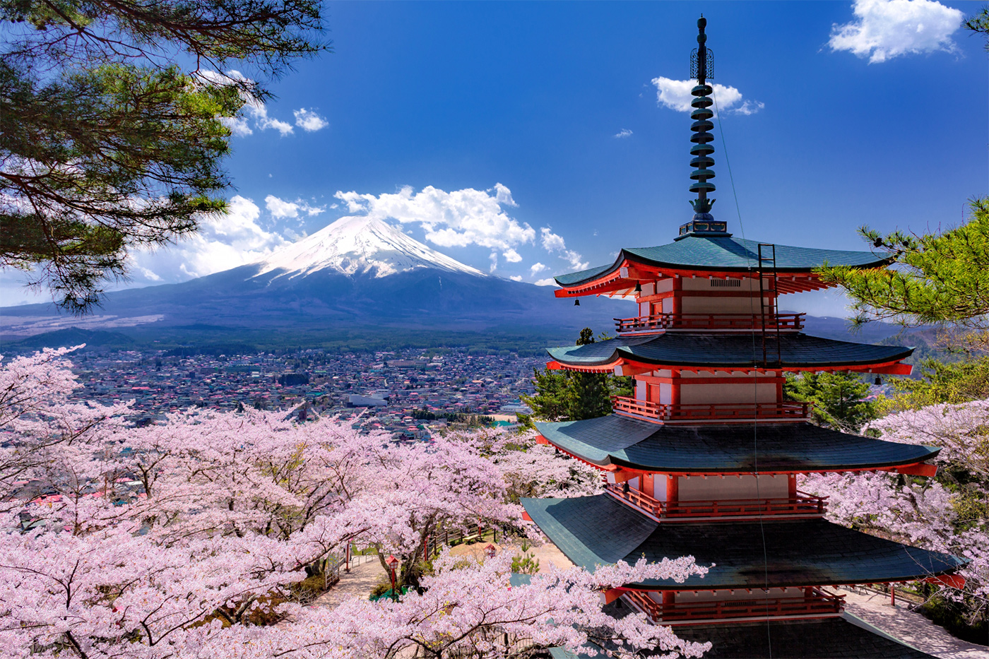 日本